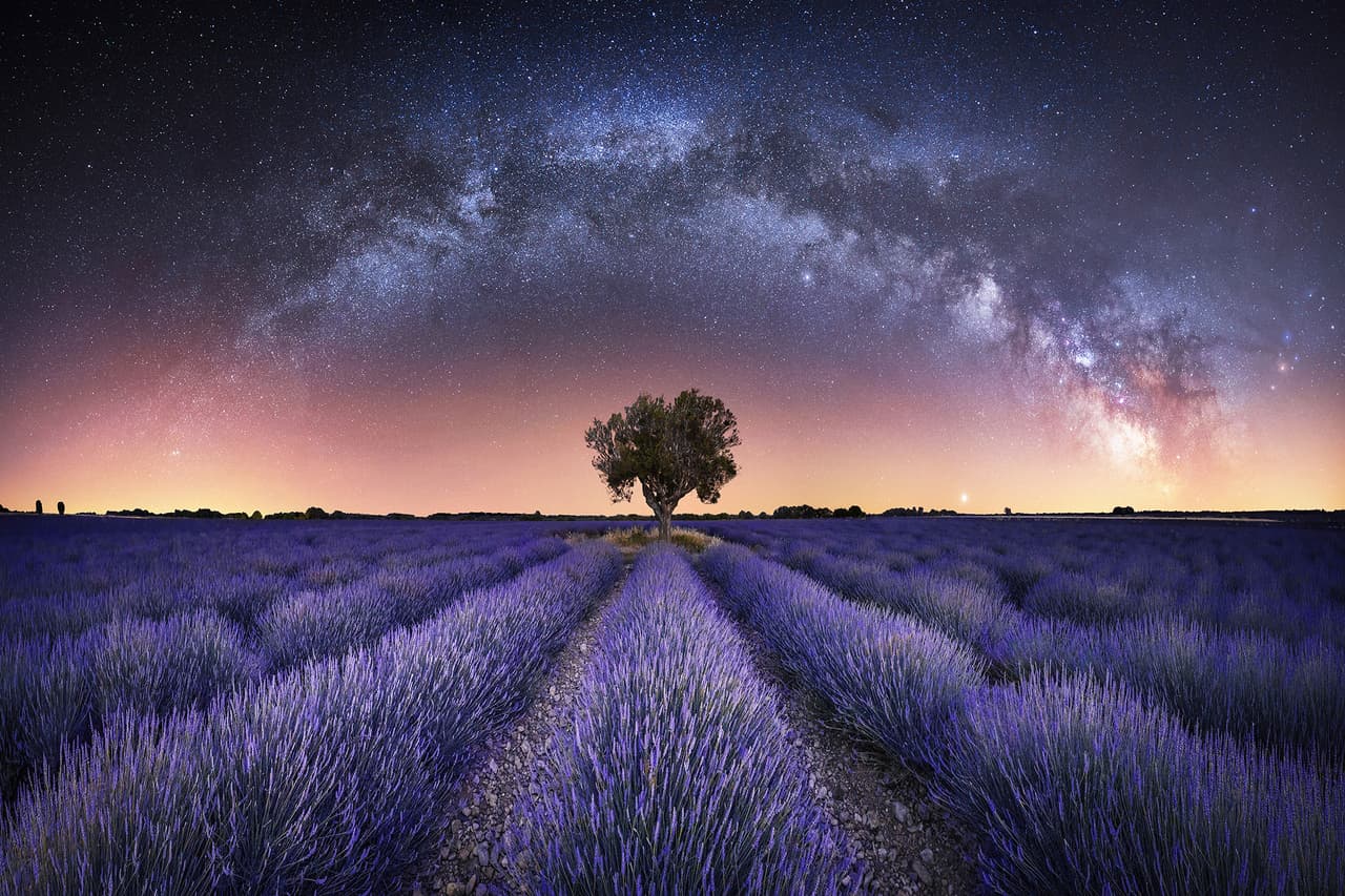 <b>‘Armonía’ </b>
<br>
<br>La imagen muestra un paisaje fascinante de los campos de lavanda en Valensole, Francia, con la Vía Láctea de fondo. También es una combinación de varias fotos del mismo encuadre, que permitieron capturar las diferentes luces y colores de las flores y el espacio.
<br>
<br>Este año, la competencia recibió más de 4,500 imágenes de entusiastas aficionados y fotógrafos profesionales, tomadas de 75 países.
