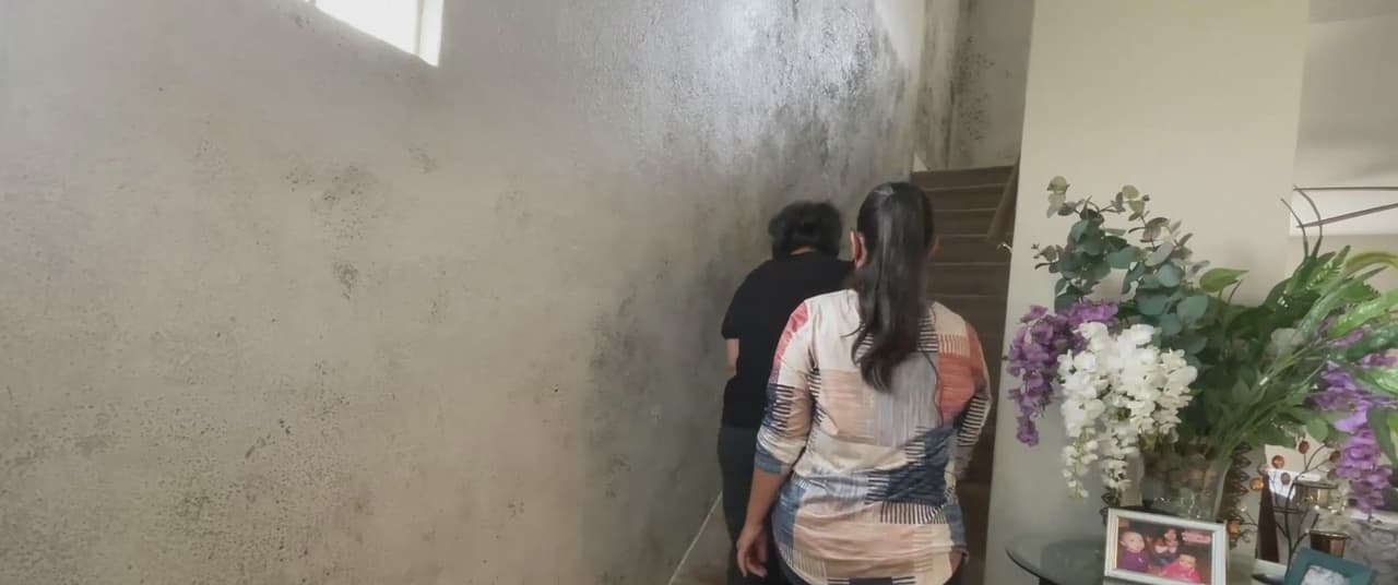 “No se puede ni respirar", Residente denuncia exceso de moho en la casa que alquila