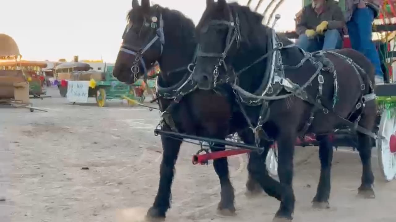 Se estima que el evento reúne a miles de personas en las calles de Tucson y es gratuito para los espectadores durante la mayor parte de su recorrido.