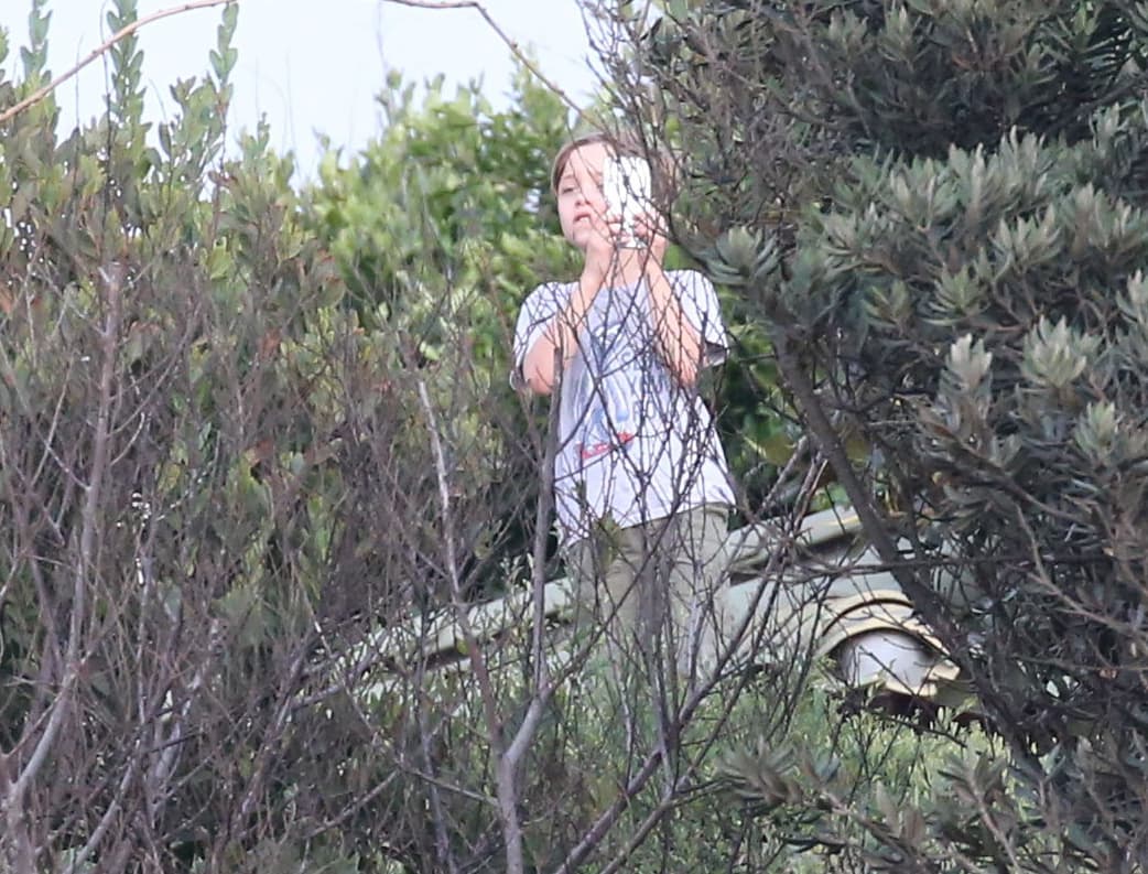 ¿Qué tan enterados estarán de la situación entre sus famosos papis?