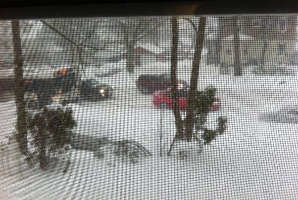 Esmeralda Rosales prefirió tomar esta foto desde su cálido hogar en Nueva Jersey.