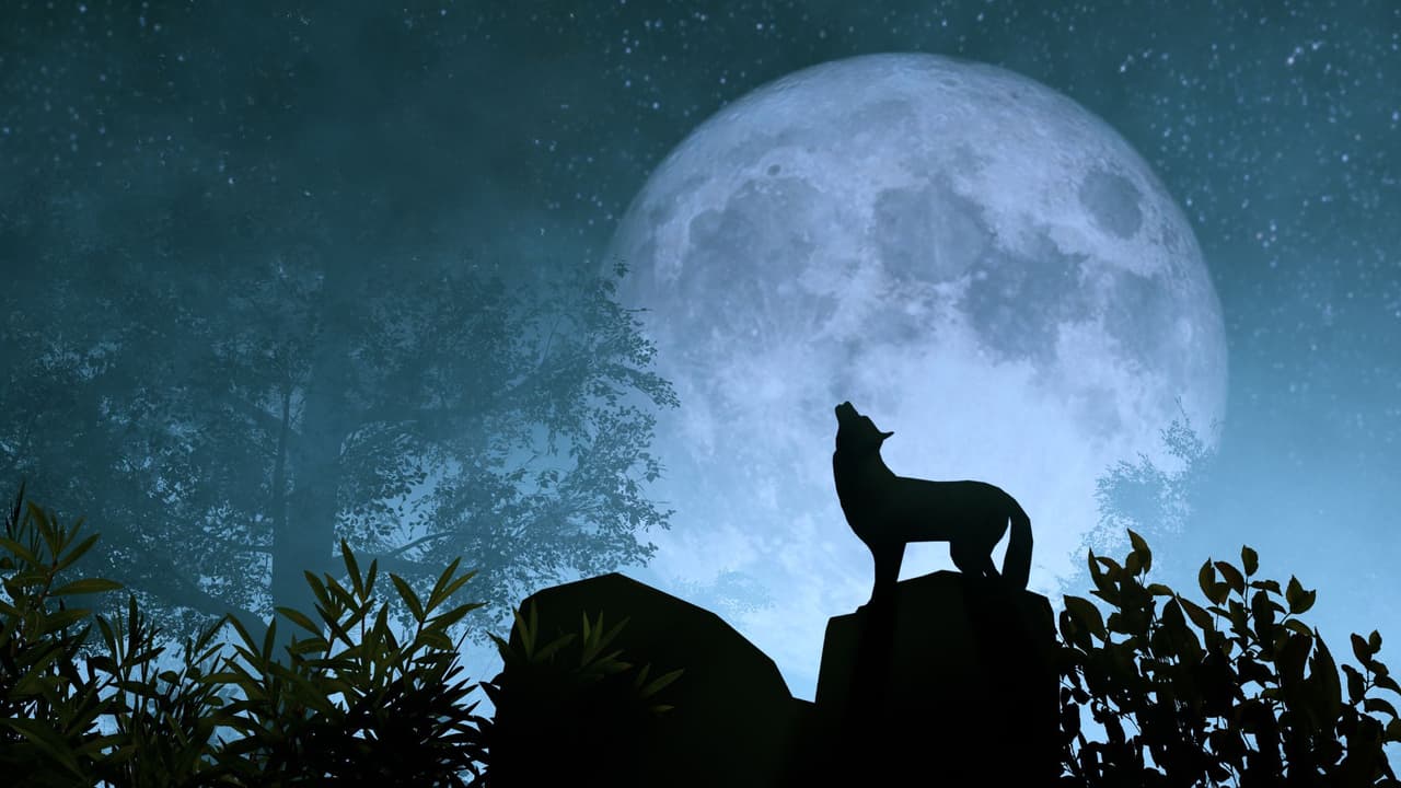 El mejor ritual para la primer luna llena del 2024, también llamada "Luna de Lobo"