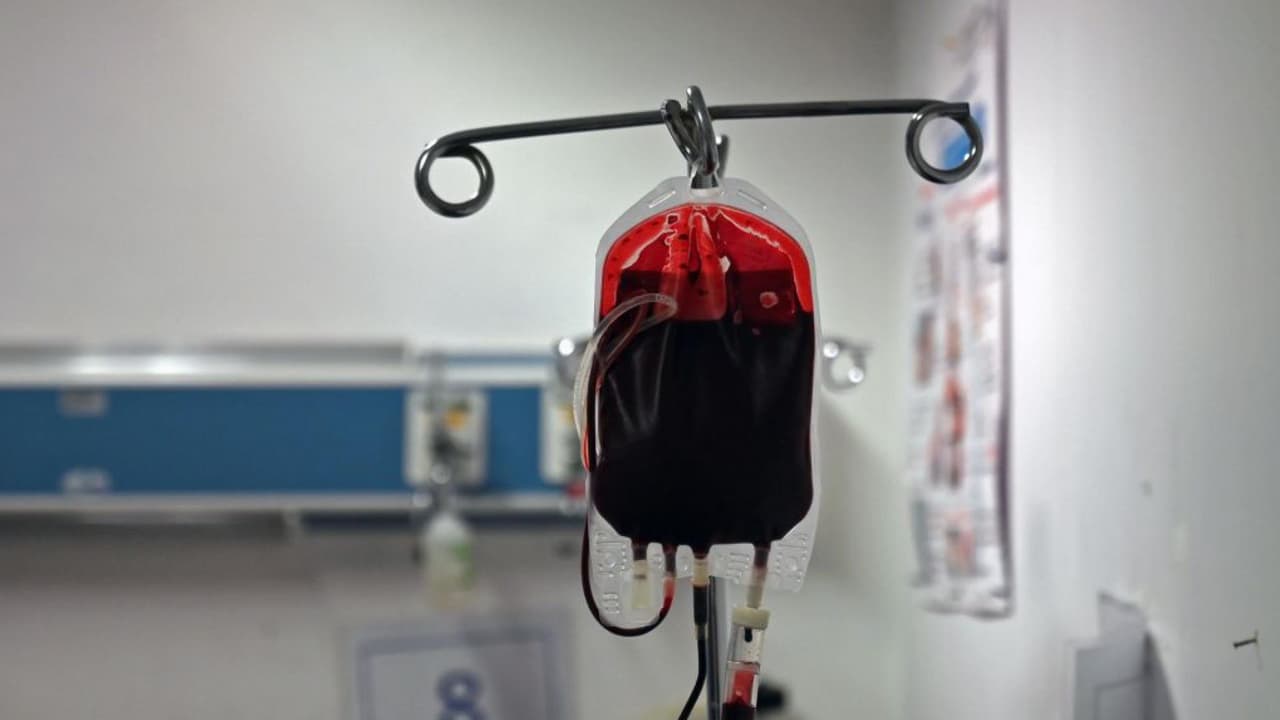 En estos lugares de Nueva York puedes donar sangre; estos son los requisitos y recompensas