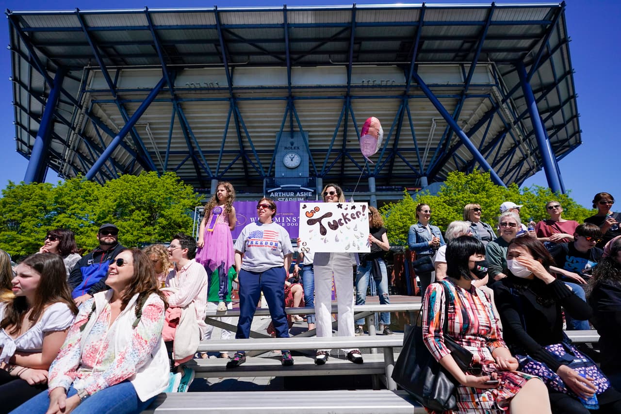 El público toma las gradas para ver a los perros demostrando sus habilidades. En esta foto Pat Conn y Staci McKeown con un cartel para apoyar a Tucker.