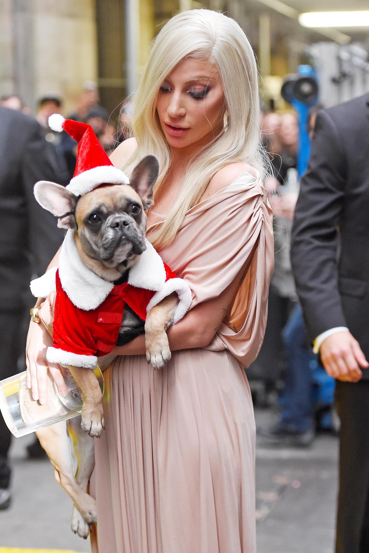 La cantante fue vista saliendo de su departamento acompañada por su prometido Taylor Kinneay y fue a un lunch para celebrar a las mujeres en los Billboard y llevó a sus perritos navideños.