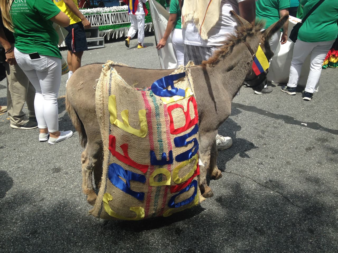 Un burrito se robó la atención del público.