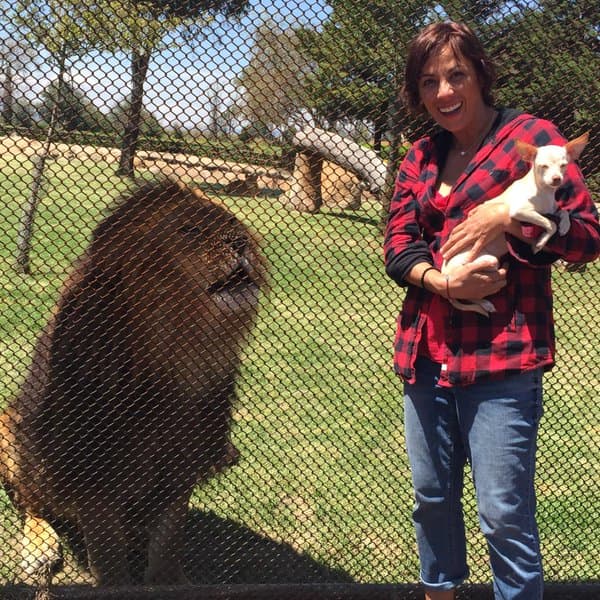 Le encanta ir de viaje con su dueña y conocer criaturas extrañas para ella, como este simpático león.