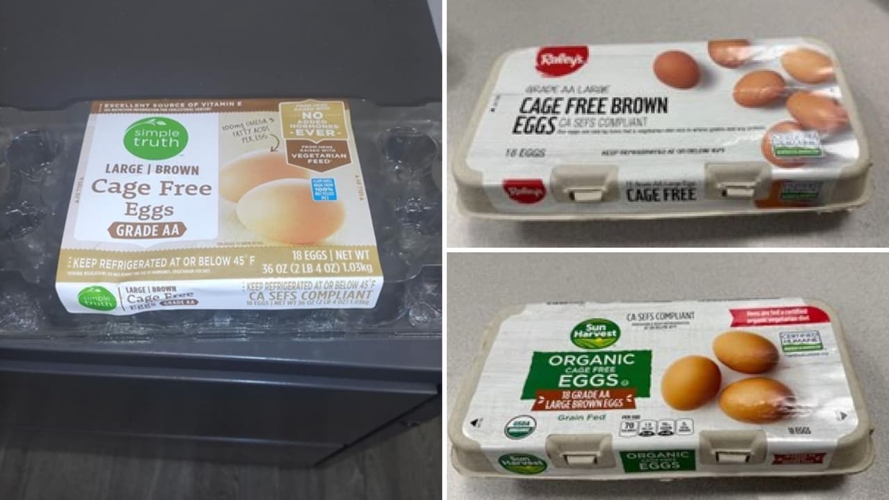 Retiran huevos por salmonela en tiendas de California, Arizona e Illinois: esto debes saber