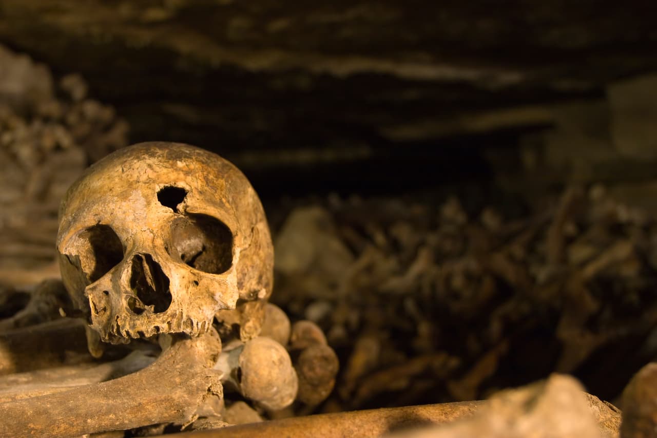 Hombre de Florida entra a Publix con cráneo humano