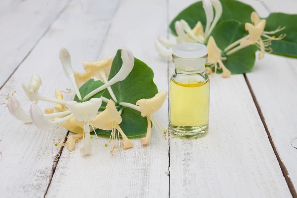 Otras diversas propiedades esotéricas se relacionan con su poder de purificar el ambiente y limpiar la energía negativa de la persona. Esto se logra también quemándolo como incienso.