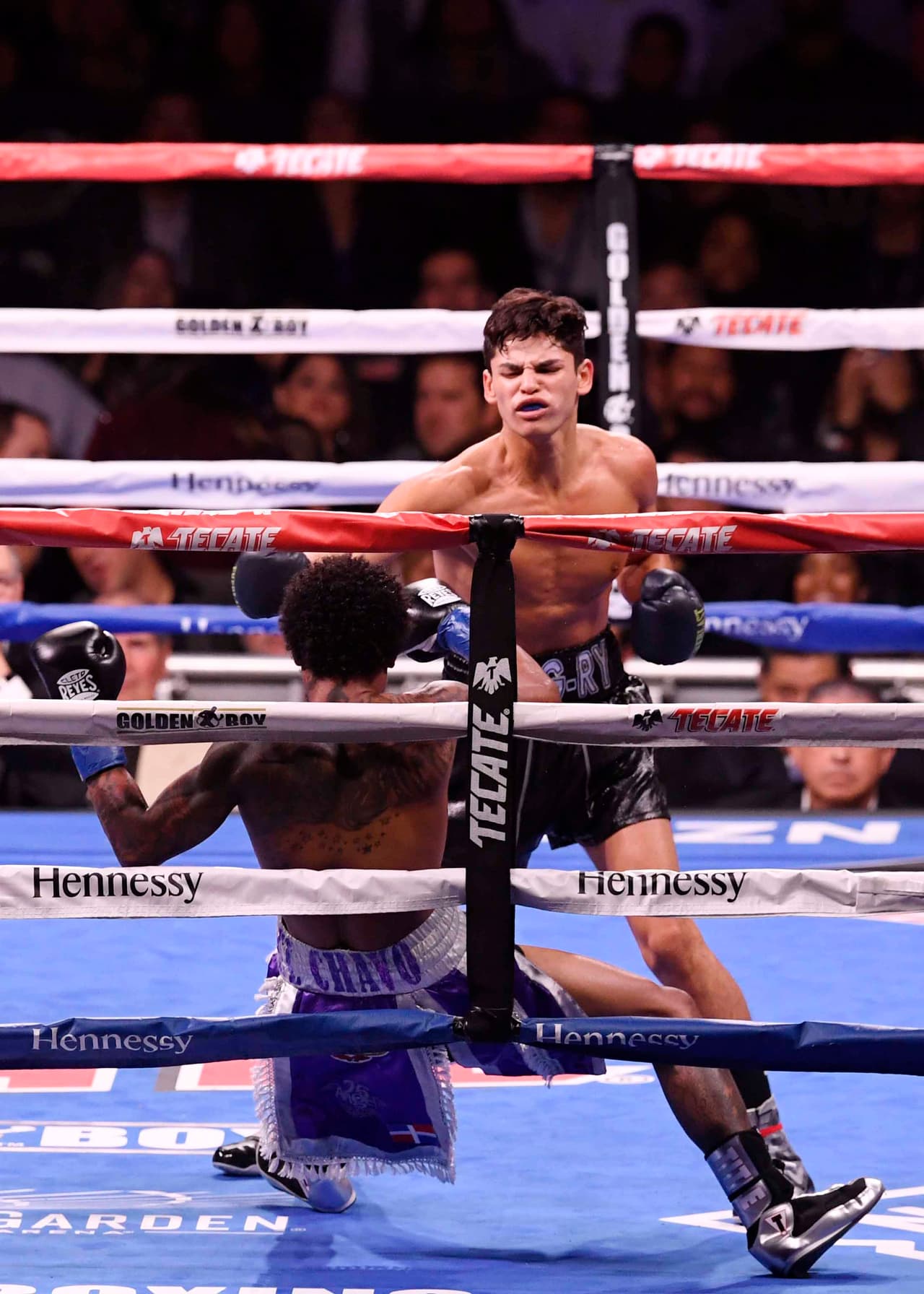 <b><a href="https://www.tmz.com/videos/1_aojv8sj7/">En entrevista con TMZ Sports</a></b>, Ryan García, de 20 años, y con récord de 17-0 en los cuadriláteros, dijo estar claro en que la artista no parece estar buscando novio, más si ella quisiera, él está más que disponible para conquistarla.