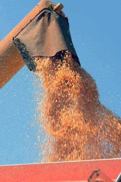 "La tierra se va concentrando cada día más en manos de unas pocas personas", constató el dirigente campesino Jorge Galeano.