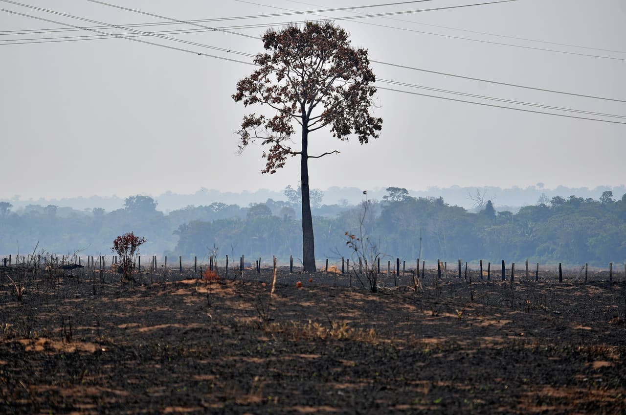 Porto Velho, ciudad de medio millón de habitantes cubierta estos días por una capa de humo, recibió seis aviones de combate de incendios, entre ellos dos Hércules C-130 de la Fuerza Aérea Brasileña (FAB), con capacidad para cargar 12,000 litros de agua. Se espera una brigada de 30 bomberos más.
<br>