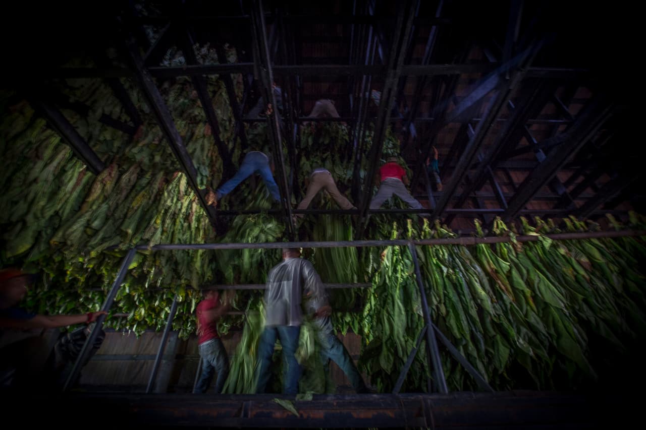 La jornada arranca cerca de las 6:00 de la mañana y se extiende hasta caer la tarde. (Nacho Corbella/Univision Noticias)