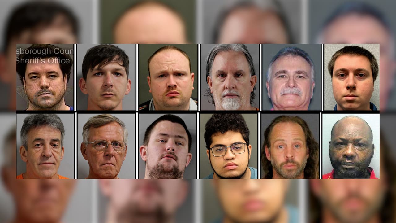 Empleado de Disney entre los 12 capturados en operativo contra depredadores sexuales de menores en Florida
