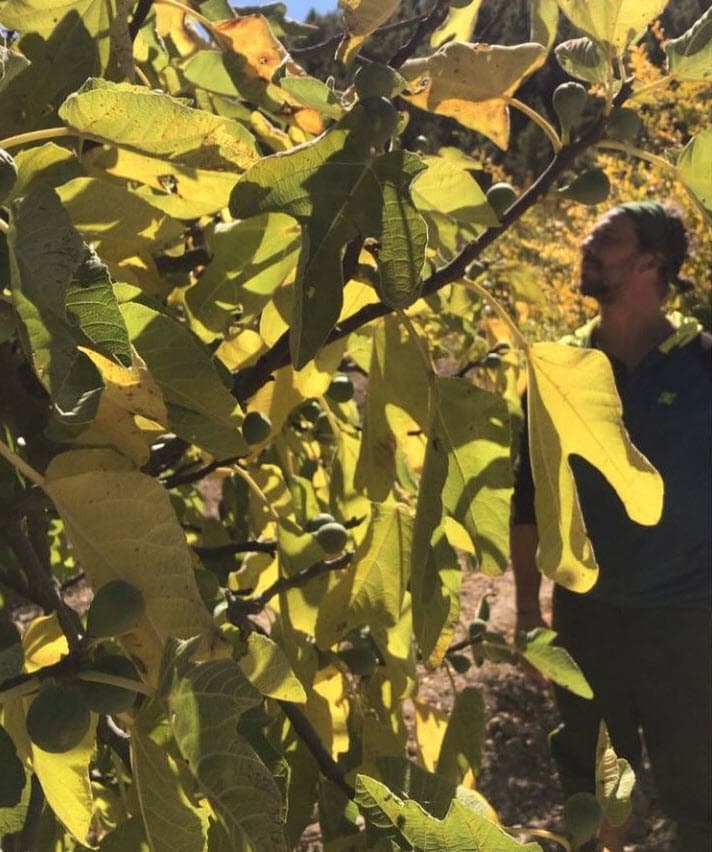 Palau y sus abogados se encuentran en un proceso de apelación ante la sentencia que recibieron en octubre pasado con la que esperan revertir el veredicto.