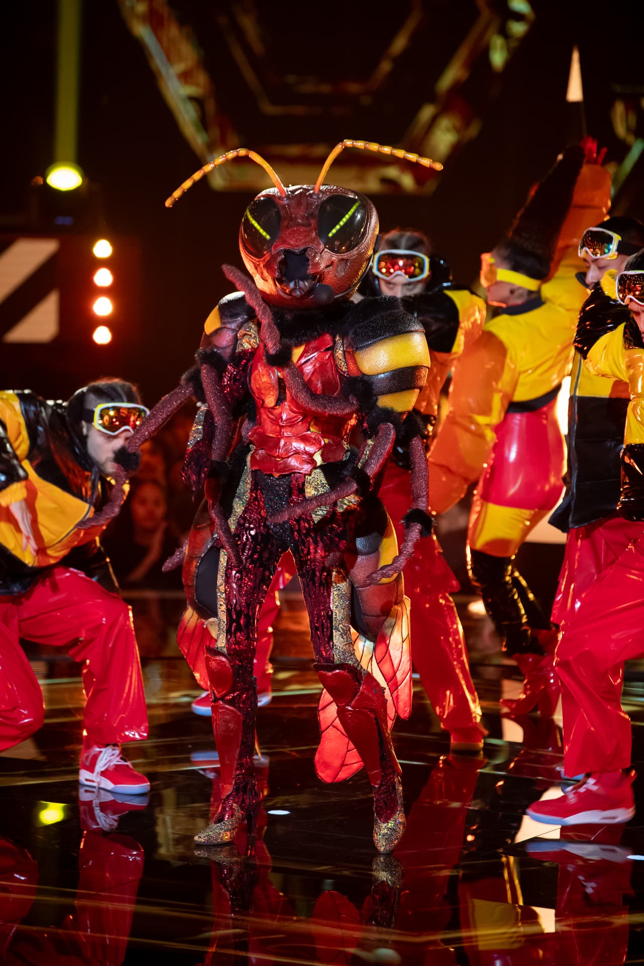 Por último llegó Avispa con el tema ‘Rolling in the Deep’. Por su capacidad vocal los investigadores señalaron que es un personaje que canta profesionalmente y seguramente tiene experiencia en el teatro.
<br>