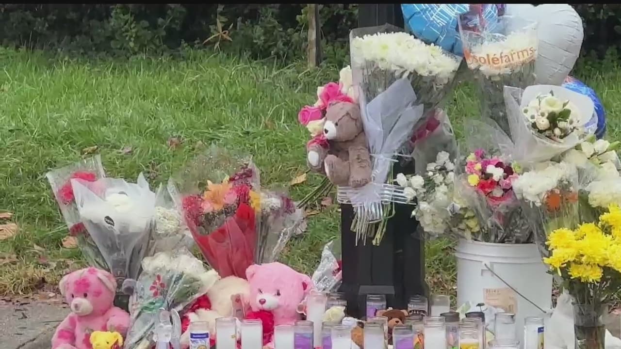 La muerte de dos niños atropellados cuando cruzaban la calle hacia la escuela en Riverdale Park en el condado Prince George, tiene conmocionados a la comunidad. Familiares y amigos exigen una investigación exhaustiva. Las autoridades revelaron que se puede tardar meses para completarse la investigación de lo sucedido.