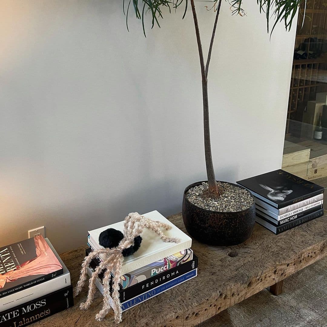 Una araña invadió los libros de Kylie.