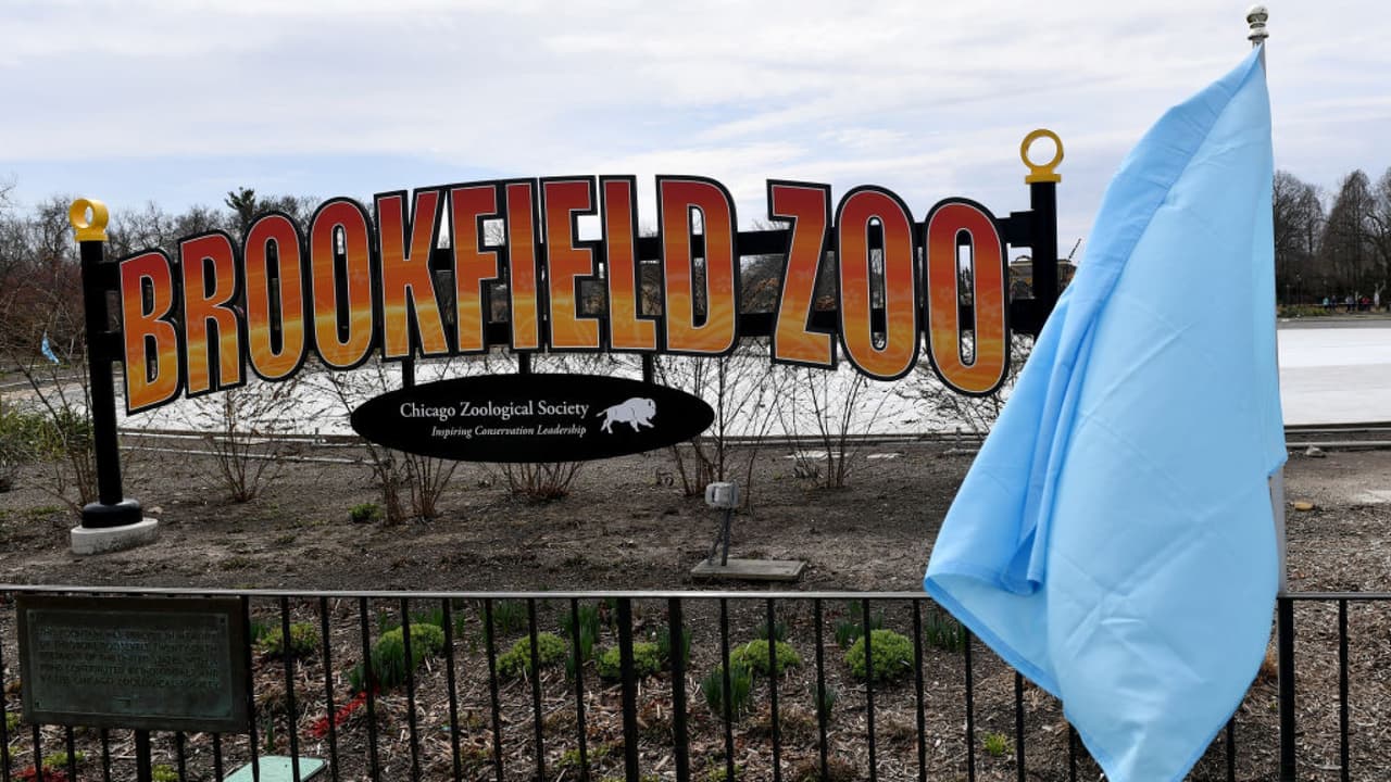 <b>Zoológicos</b>
<br>Los zoológicos pueden tener hasta un 25% en espacios abiertos. Por otro lado, un 50% para exhibiciones de interiores con un máximo de 50 personas.