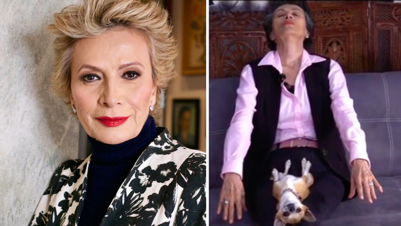 ¿Un perrito Chihuahua tranquilo? La mascota de Patricia Reyes Spíndola hasta yoga hace