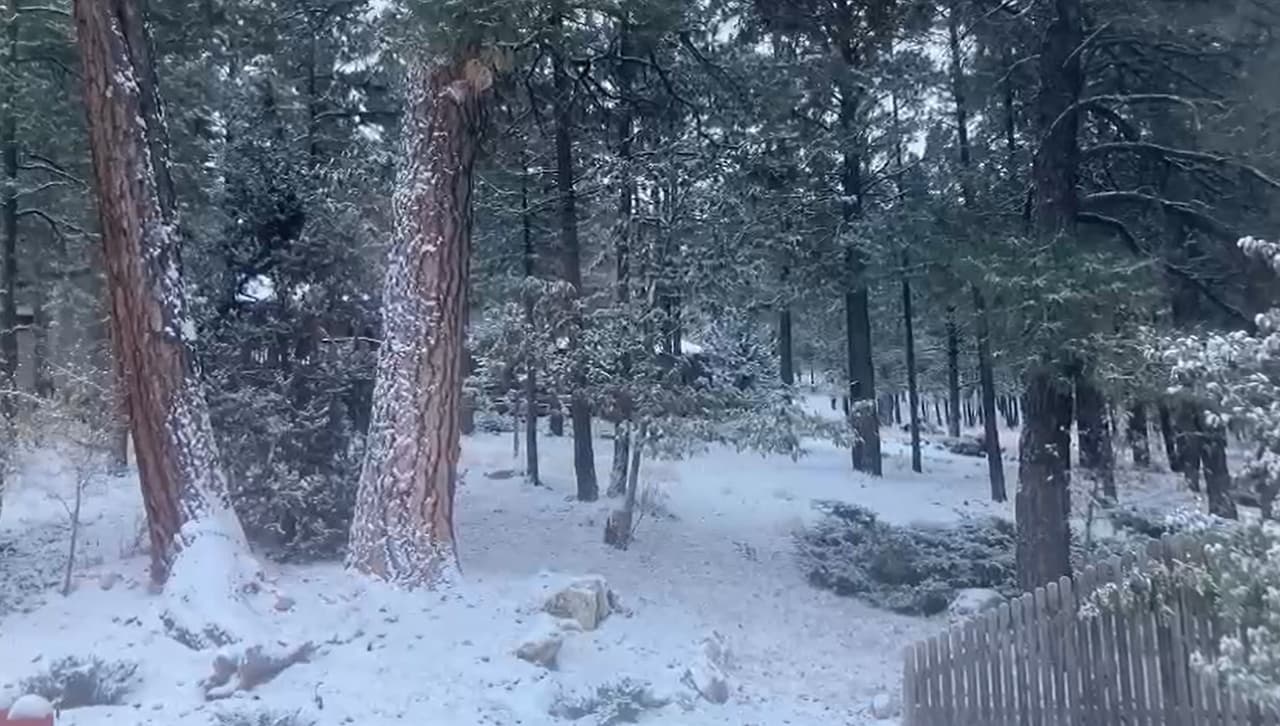 Si no es posible quedarse en casa, vale la pena salir con más tiempo de casa para desplazarse a una velocidad menor, pero segura, conservando la distancia con los demás vehículos.