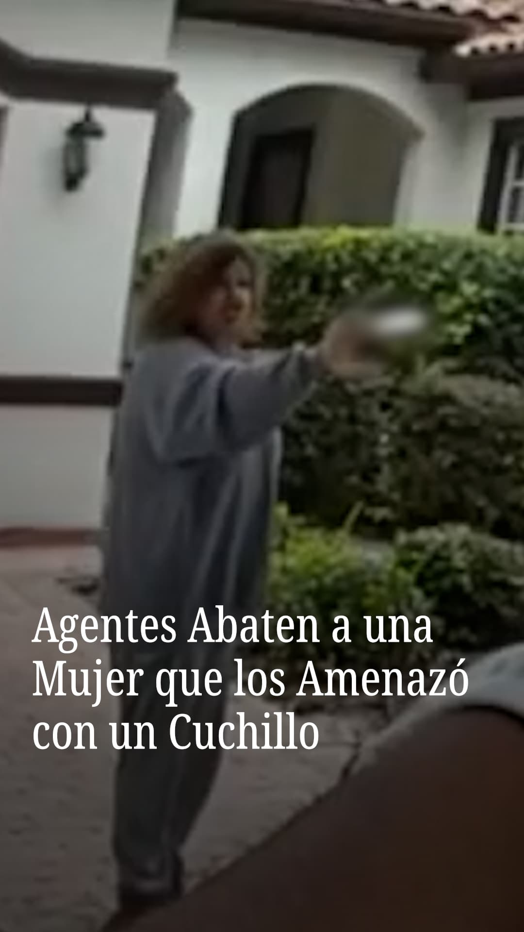Agentes abaten a una mujer que los amenazó con un cuchillo en Florida
