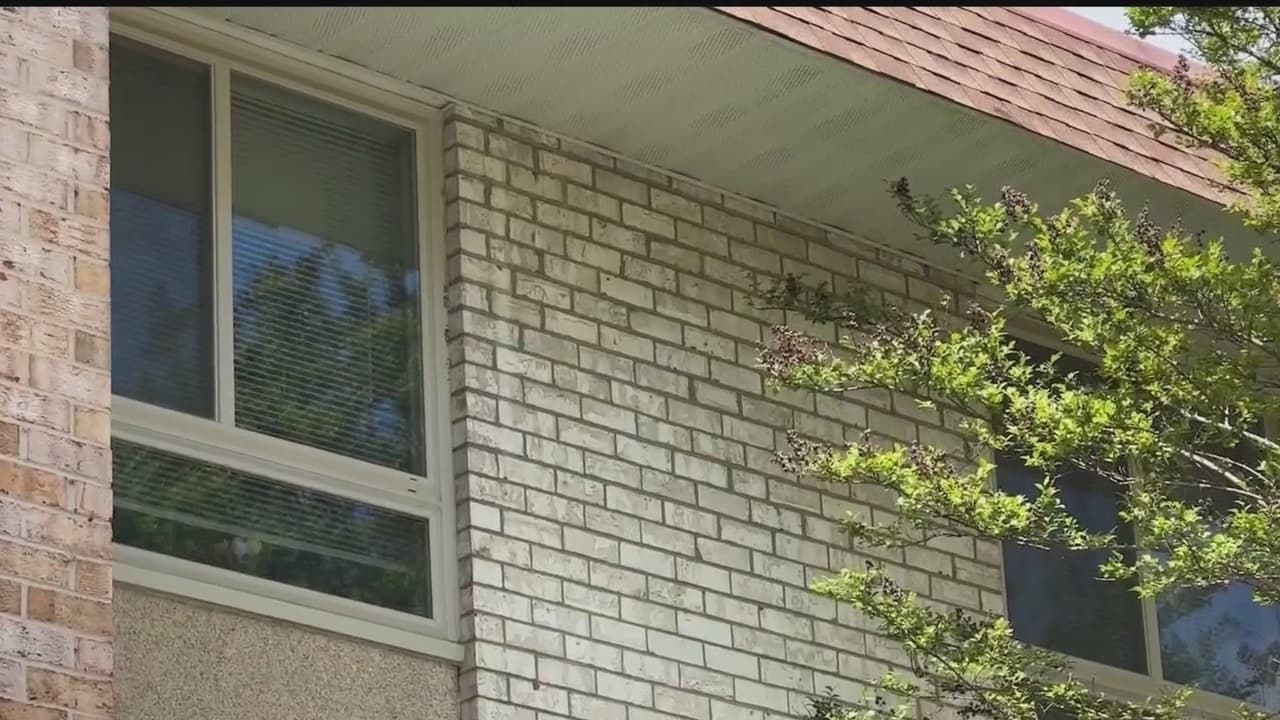 Montgomery impulsa ley para proteger a inquilinos y exigir más responsabilidades a arrendadores