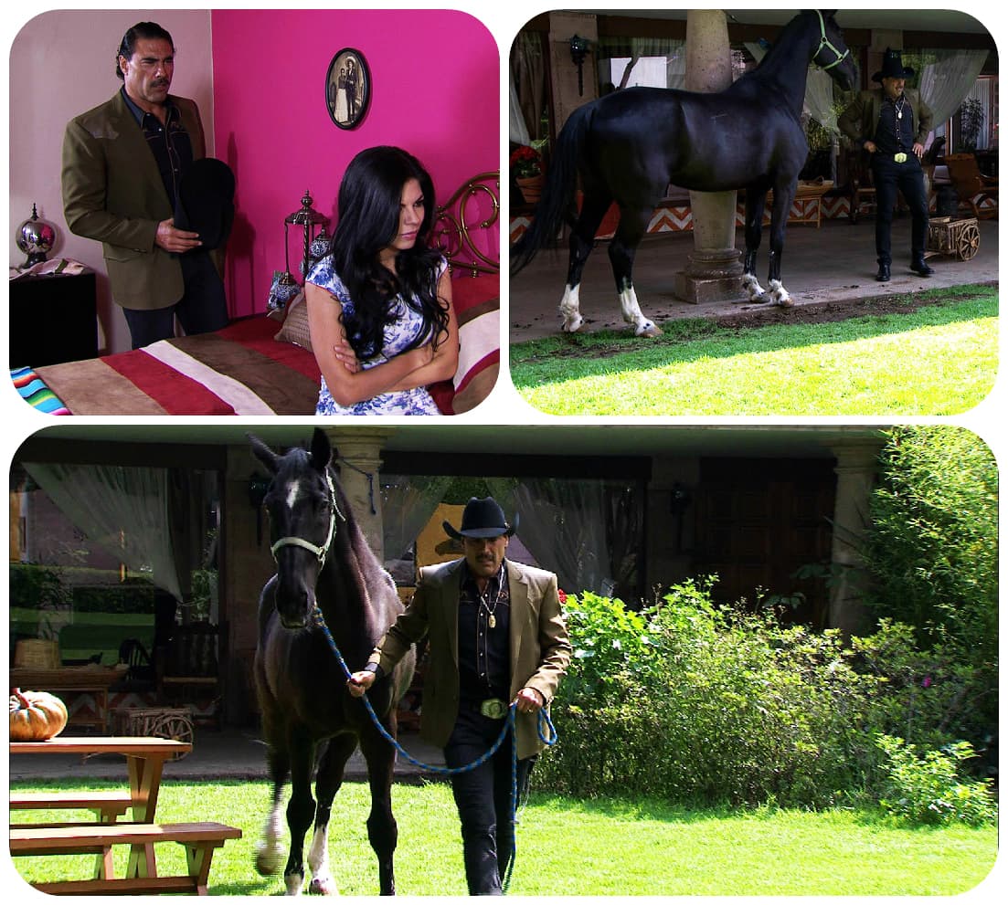 No soporta saber que le diste la espalda a Betito.