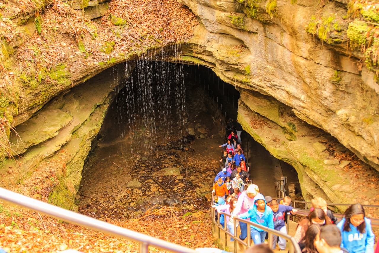 Este parque es reconocido como Patrimonio de la Humanidad y como Reserva de Biósfera Internacional.
<br>