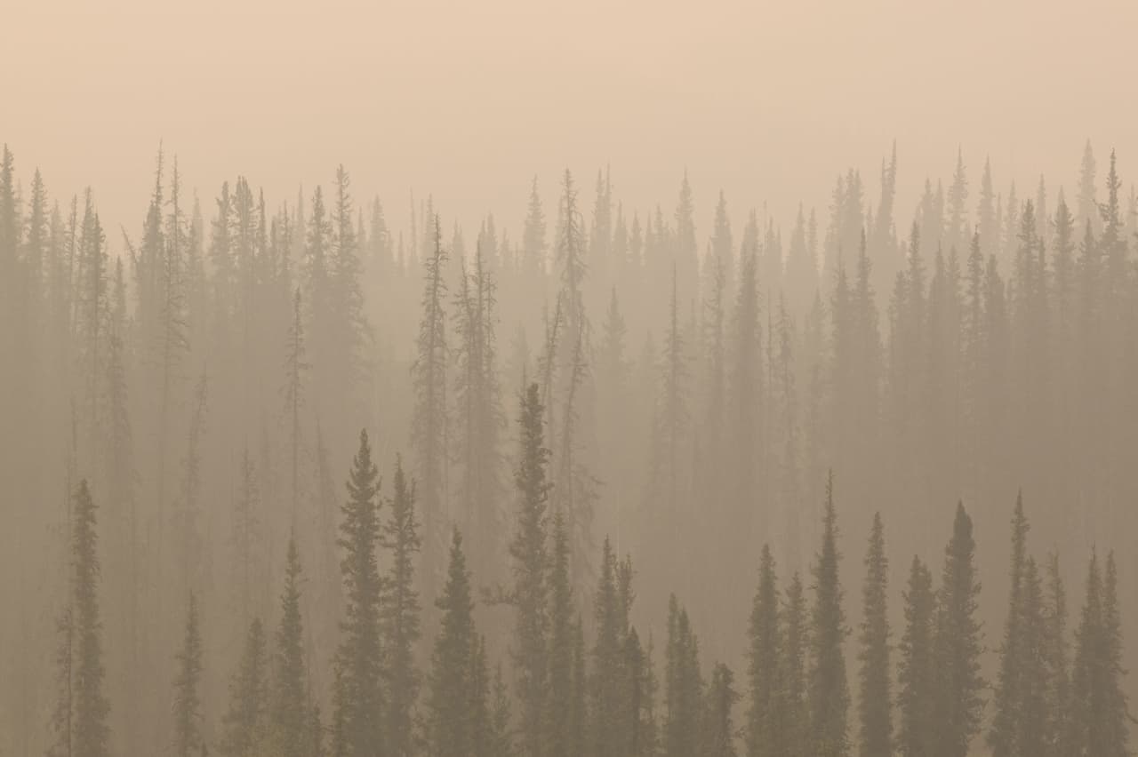 <b>Puesto 4: Complejo de incendios Solsticio, Alaska (2004). </b>Un racimo de 19 diferentes fuegos arrasaron con más 800,000 acres al norte de ese estado. Los incendios más grandes a menudo se dividen en varios otros eventos más pequeños, o varios pequeños forman un gran complejo de incendios en un área. Estas diferencias son indicadas en los resultados del estudio.