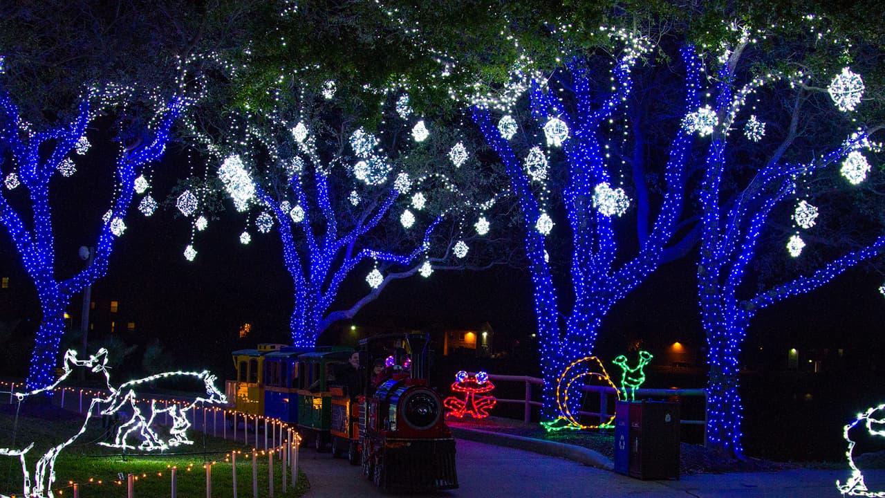 Se trata del Festival de Luces del 
<a href="https://www.univision.com/local/houston-kxln/leon-marino-duke-moody-gardens-fotos">Moody Gardens</a> en Galveston que cumple 20 años de celebrarse. La exposición de luces comienza el 20 de noviembre y hasta el 2 de enero.