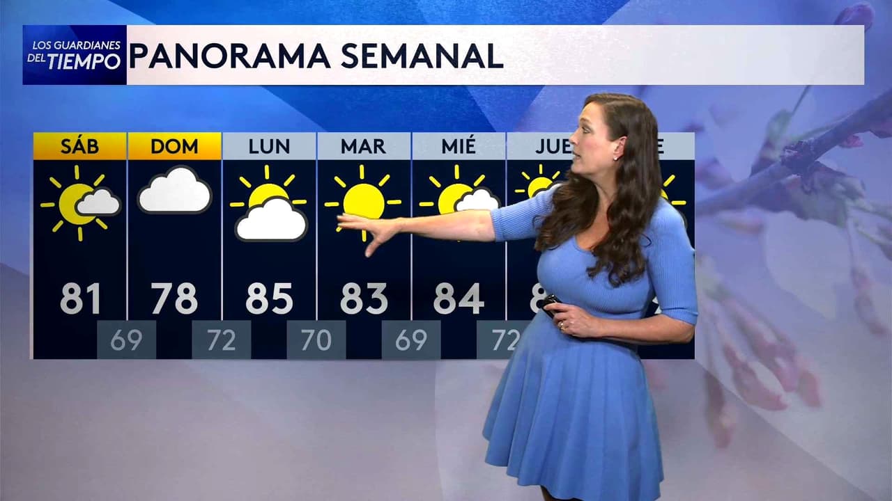 Pronóstico del tiempo hoy en Nueva York: Cielos parcialmente nublados; el termómetro alcanzará 84 °F