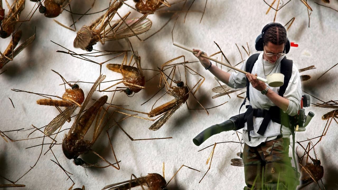 Rociarán insecticida contra mosquitos en vecindarios de Sunnyvale y Santa Clara para prevenir el virus del Nilo Occidental