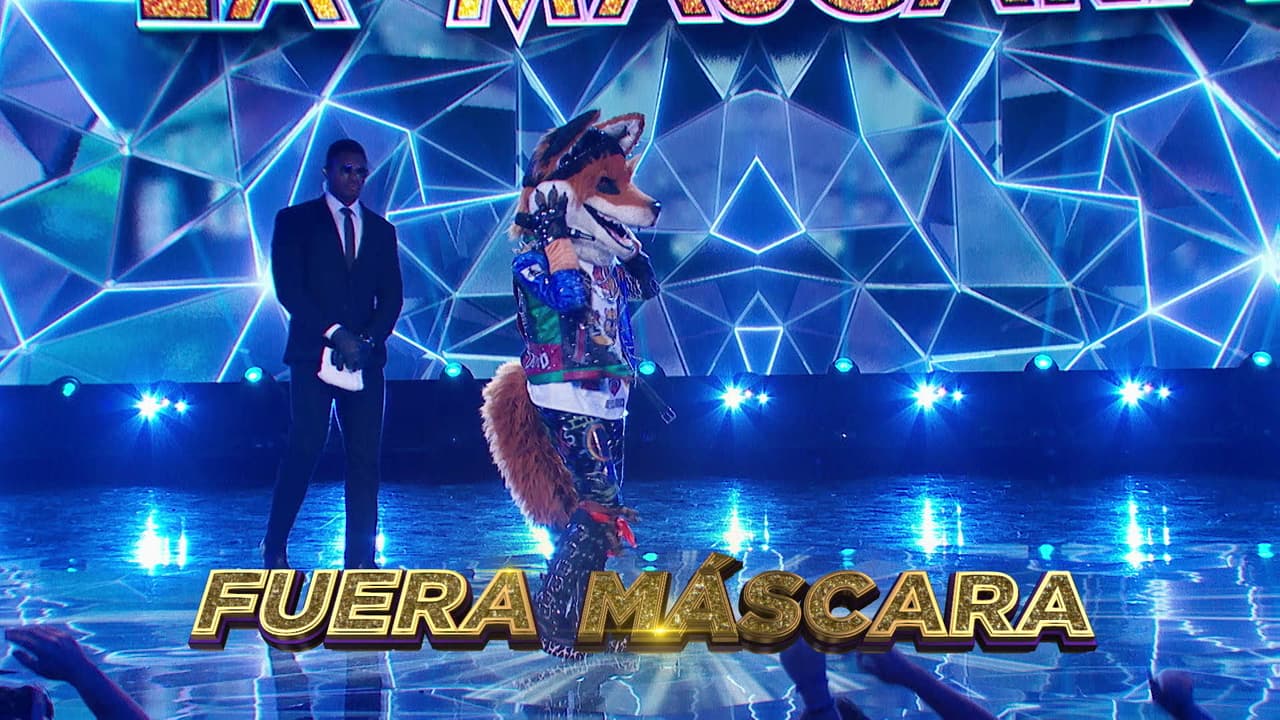 Nuestro querido Zorro no pudo ganar la mayoría de votos de los investigadores y fue elegido frente a Cebra para abandonar la contienda.