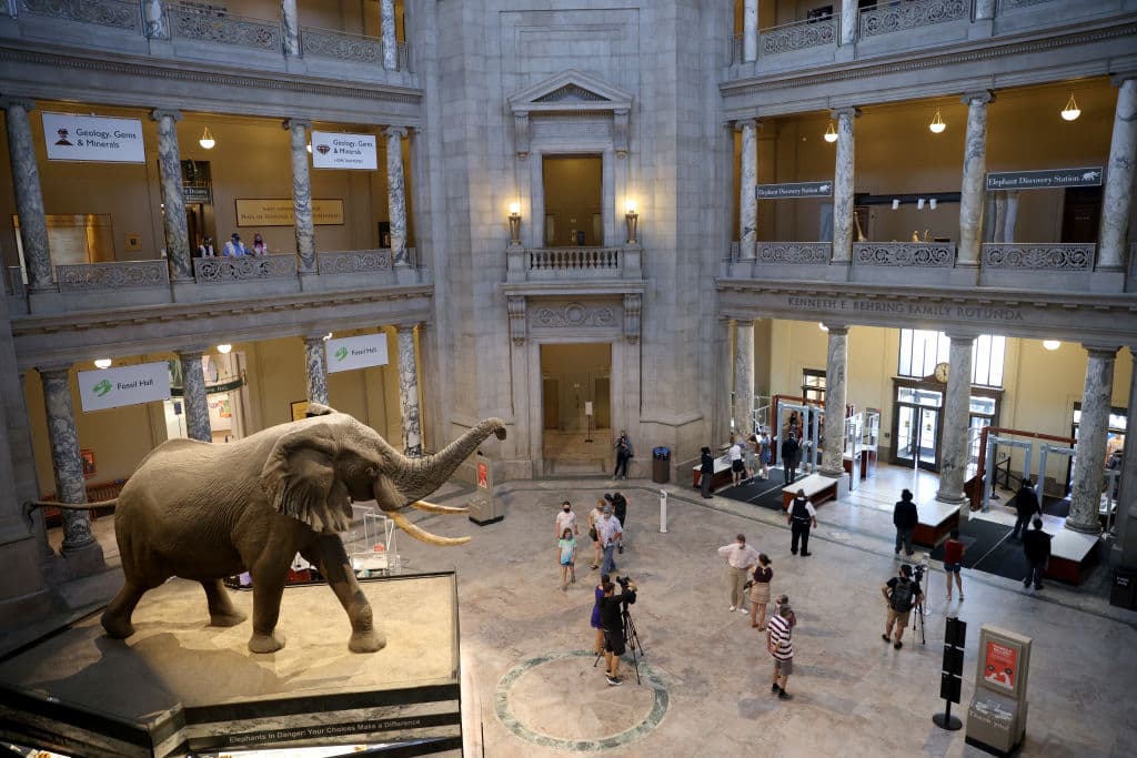 Una de sus características es que contiene la mayor colección de arte Dew Deal, que está conformada por pinturas impresionistas americanas y obras maestras de la Edad Dorada.