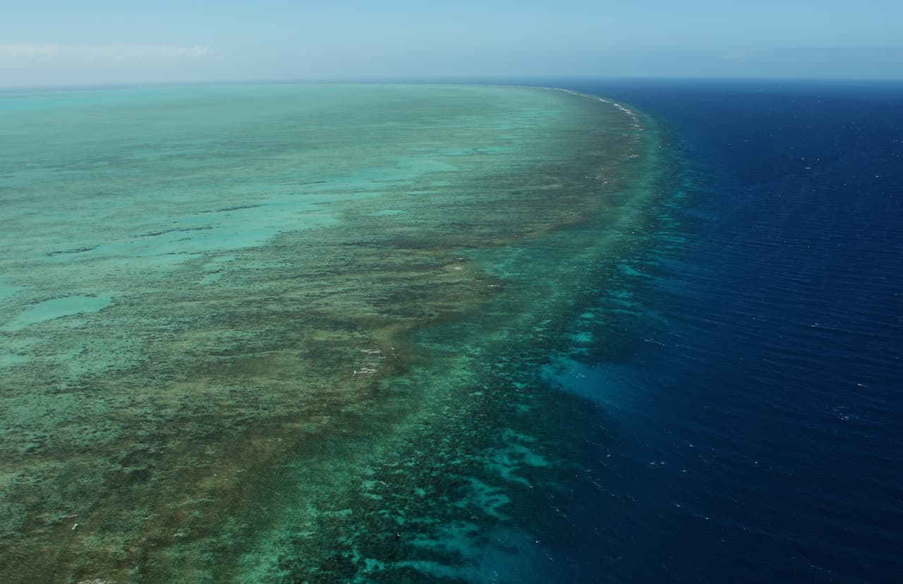 La gran barrera de coral, ubicada fuera de la costa australiana de Queensland, es el arrecife más grande del mundo. Se extiende por más de 1,600 millas y tiene más de 100 islas y 3,000 arrecifes individuales. La acidificación de los océanos por su aumento de temperatura está acabando con este patrimonio natural de la humanidad.