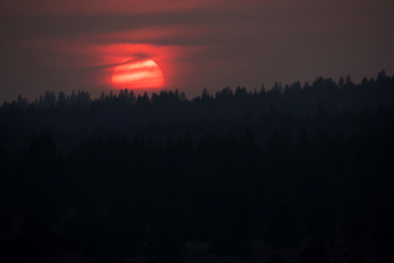 Una sequía histórica y las recientes olas de calor, vinculadas al cambio climático, han hecho que los incendios forestales sean más difíciles de combatir en el oeste de Estados Unidos. Los científicos dicen que el 
<a href="https://www.univision.com/temas/cambio-climatico">cambio climático</a> ha hecho que la región sea mucho más cálida y seca en los últimos 30 años y continuará haciendo que el clima sea más extremo y los incendios forestales más frecuentes y destructivos.
<br>
<br>
<br>The sun is seen setting amid thick wildfire smoke from the Bootleg Fire on July 25, 2021 near Bly, Oregon. - The "Bootleg Fire" in Oregon, which started on July 6, 2021 near Beatty, Oregon, has burned in the space of two weeks the equivalent of the city of Los Angeles in vegetation and forests. (Photo by Mathieu Lewis-Rolland / AFP) (Photo by MATHIEU LEWIS-ROLLAND/AFP via Getty Images)