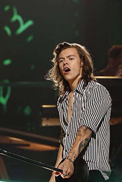 Incluso los integrantes de One Direction revelaron que el plan es irse todos juntos como la linda familia que son.