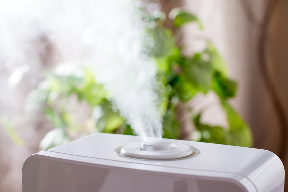 Lleva el difusor o humidificador por todos los rincones de tu casa, impregnando el ambiente con su bonito olor. Siente la paz que va rodeando cada espacio.