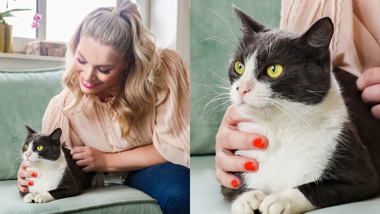 Creen que sus dueños son sus esclavos.