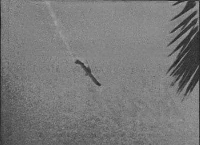 Imagen del vuelo 498 cayendo en picada en Cerritos en 1986.