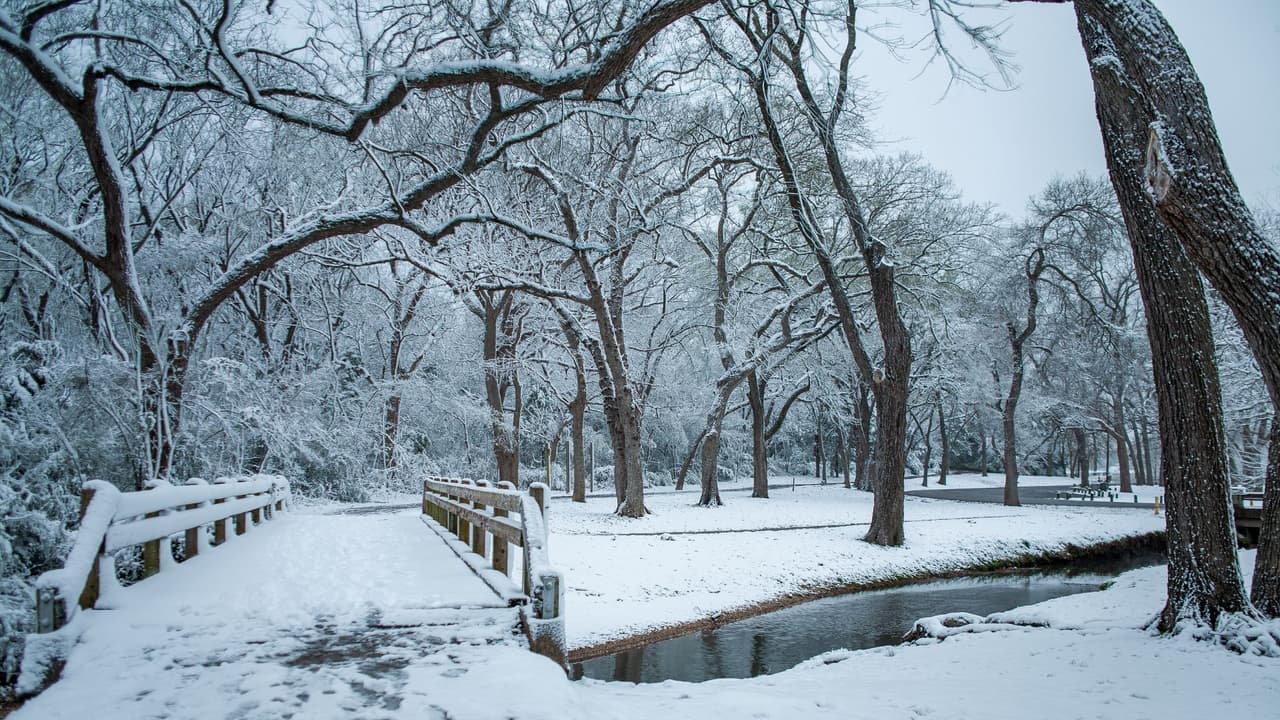 <h3 class="cms-H3-H3">Cómo se siente el invierno según la región ⛄ </h3>El estado no vive la estación de la misma manera. 
<br>En el norte, como en Dallas,
<b> los días bajan rápido de temperatura y las noches pueden caer por debajo del punto de congelación</b>. 
<br>Aquí son más comunes las heladas y de hielo en carreteras. E
<br>n el centro y el sur, como Houston, Austin y San Antonio, 
<b>el invierno avanza con días frescos y noches frías, casi siempre sin nieve. </b>
<br>Sin embargo, los frentes fríos pueden llegar en cuestión de horas y cambiar la rutina de un día para otro. 
<br>Esa mezcla hace que la estación no se viva igual en todo Texas, aunque sí deja señales claras: 
<b>amaneceres fríos, cambios bruscos y la necesidad de revisar la calefacción temprano.</b>