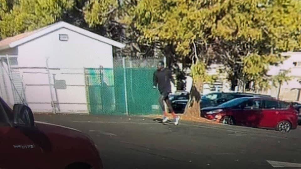 Arrestan al sospechoso de atacar tres personas con un cuchillo en la biblioteca de Auburn