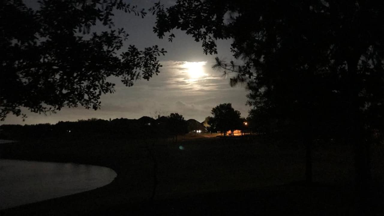 A través de
<a href="https://www.univision.com/local/houston-kxln/reportalo" target="_blank">Repórtalo Houston</a> y las redes sociales de
<a href="https://www.univision.com/local/houston-kxln" target="_blank">Univision 45</a>, varias personas enviaron sus fotografías de la superluna.