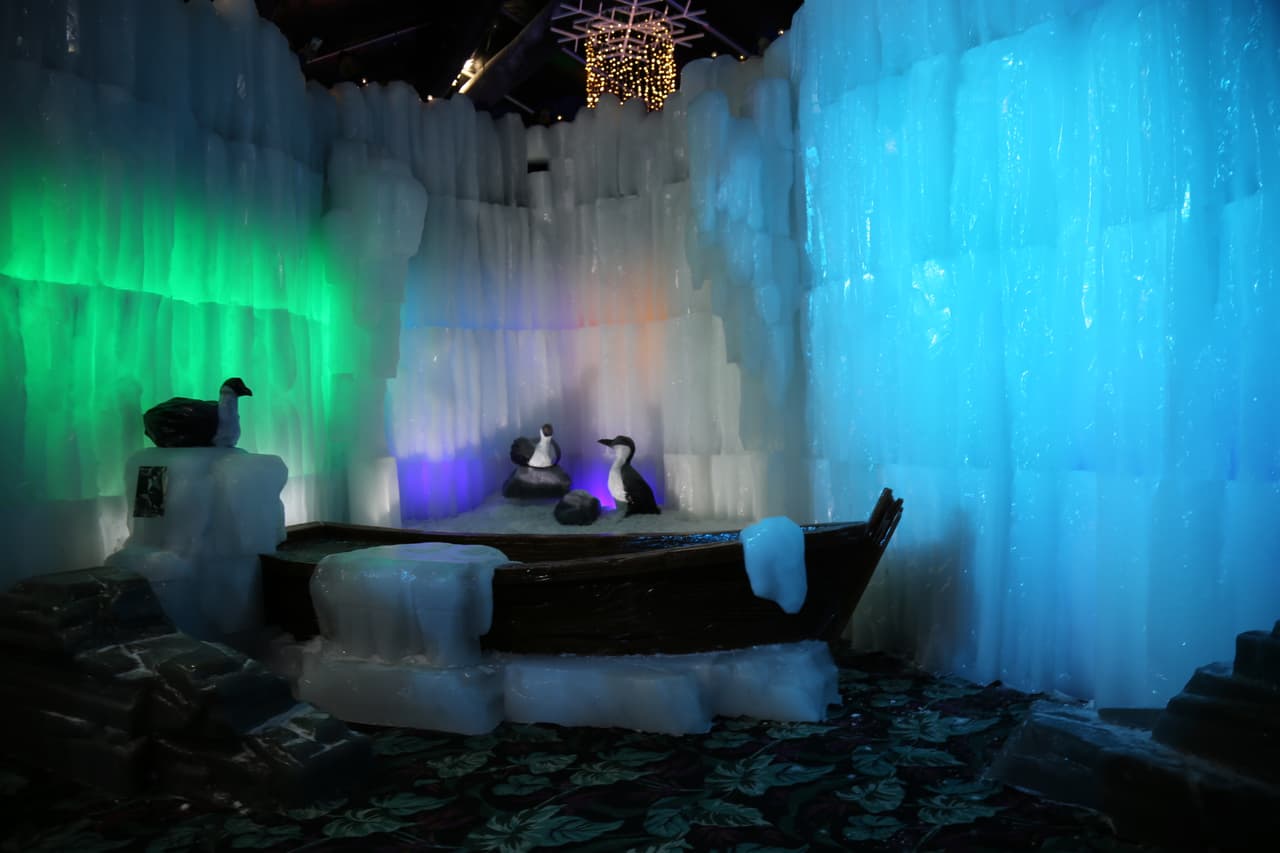 En esta recreación de un ambiente marino polar se destaca una ave conocida como cormorán que habita en la península antártica y en las islas Shetland del Sur.