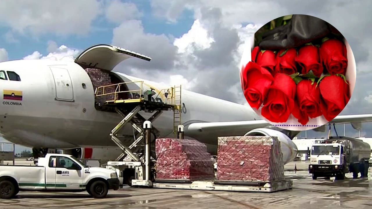 El Aeropuerto Internacional de Miami espera cerca de 50 toneladas de flores para el Día de las Madres