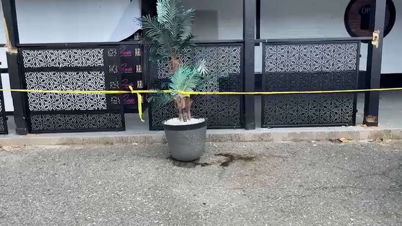 Nos comunicamos con el 
<b>Departamento de Permisos, Inspecciones y Cumplimiento del Condado</b>, para saber si este lugar operaba bajo el amparo de la ley, y respondieron: "El propietario del establecimiento, ubicado en 2430 Chillum Road, recibió un aviso de infracción por permitir que el inquilino operara un club nocturno sin un permiso de uso y ocupación válido". De acuerdo con esta agencia, el establecimiento no podrá operar hasta nuevo aviso, o hasta que cumpla con todos los permisos necesarios.
<br>