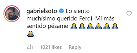 Gabriel Soto ha demostrado que es un padre comprometido con sus hijas, por lo que lamenta la difícil situación de Brenda y Ferdinando.