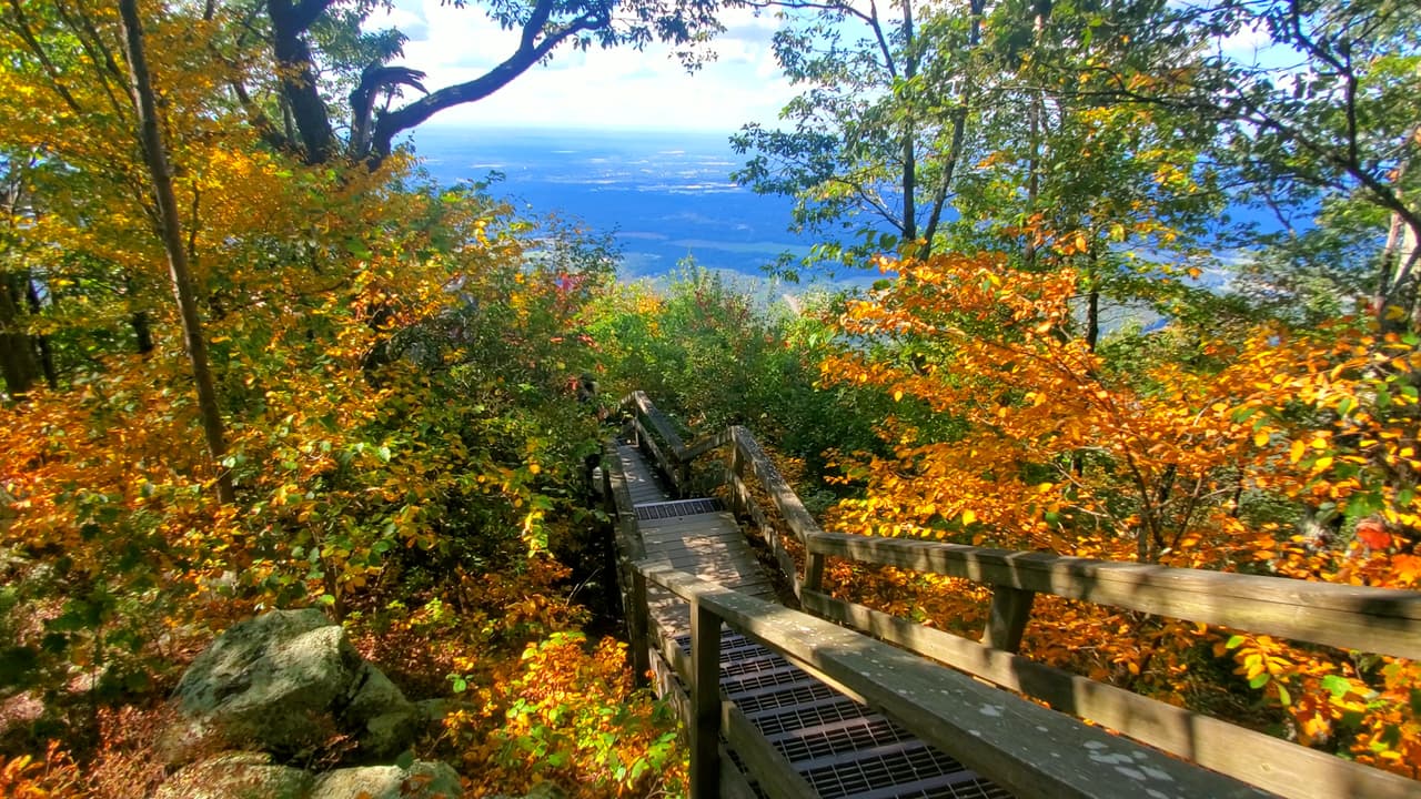 Encuentra más destinos e información local, 
<a href="https://www.univision.com/local/atlanta-wuvg/localisimo"><b>aquí</b></a>.